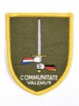 Bundeswehr, Abzeichen, 1. Deutsch-Niederländisches Corps "Communitate Valemus" (1. DEU/NLD Corps)