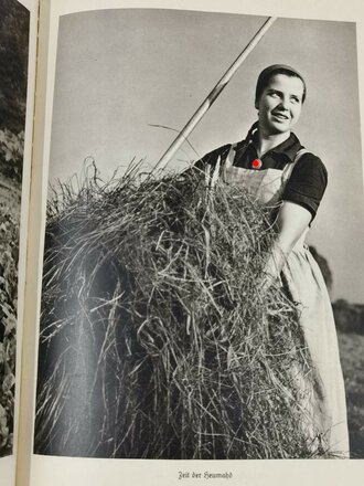 "Arbeitsmaiden am Werk" Ein Bildbuch von Hans Retzlaff mit 136 Seiten, im Schutzumschlag