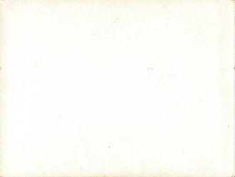 NSFK / NSKK, 3 Fotografien mit Angehörigen beider Korps vor einem Leichtflugzeug/Segelflugzeug mit Olympiaringen auf dem Marktplatz in Neustadt a. d. W./Pfalz, wohl 1936, ca. 9 x 12 cm, guter Zustand