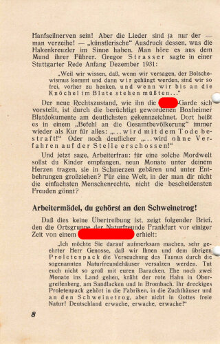 Flugblatt/Broschüre, "100.000 Kinder auf einen Hieb - Die Frau als Zuchtstute im Dritten Reich", 6 lose Blätter, 11 Seiten, ca. DIN A5, gelocht, sonst guter Zustand