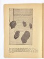 "Brüder in Not ! - Dokumente der Hungersnot unter deutschen Volksgenossen in Rußland", Reichsausschuss "Bruder in Not", 1933, 15 Seiten, 14,5 x 29,5 cm, ohne Jahr, guter Zustand