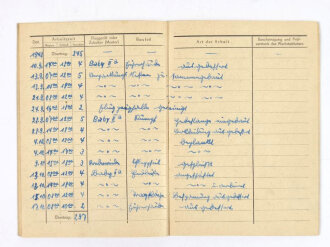 NSFK Flugbuch und Werkstattdienstbuch, NSFK Gruppe 16 Sturm 3/80 Heidelberg, inkl. Unterlagen zur Haftpflichtversicherung, guter gebrauchter Zustand