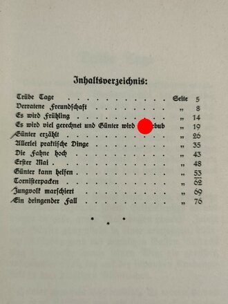 " Jungvolk" Erlebnisse und Gedanken eines Hitlerbuben. 90 Seiten, guter Zustand